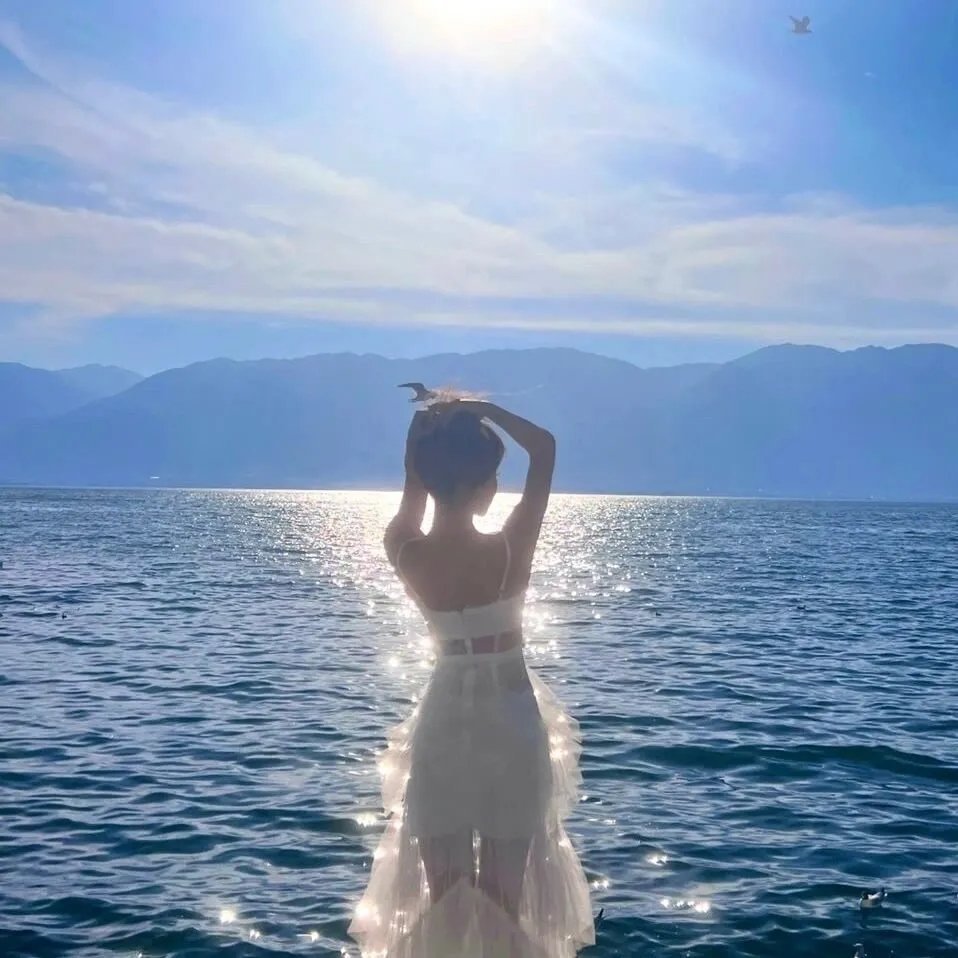 主演 C